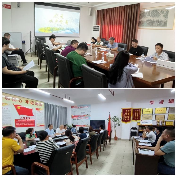 英国上市公司365党支部召开党的二十大精神专题学习会暨增补支委选举大会